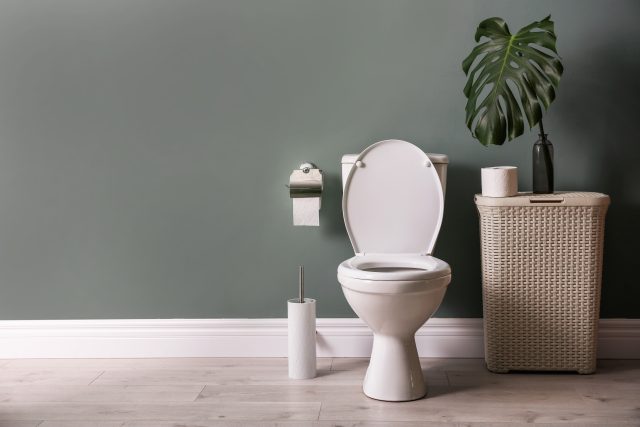 グレーの壁の部屋のトイレの隣にモンステラの葉が置かれた植木鉢がある。